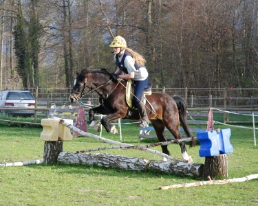 El Cid, flying