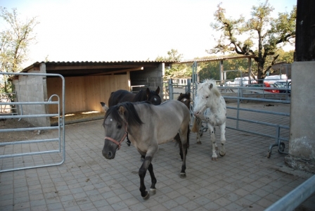 Joska unterwegs