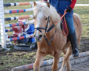 Jerry gibt Gas