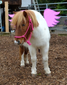 Lillifee die Fee