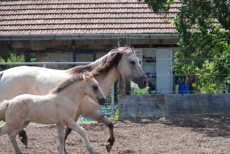 Nayla mit Nandor, ihrem Sohn
