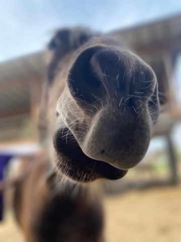 f254a4af-b733-4307-9141-3ac38c72a129